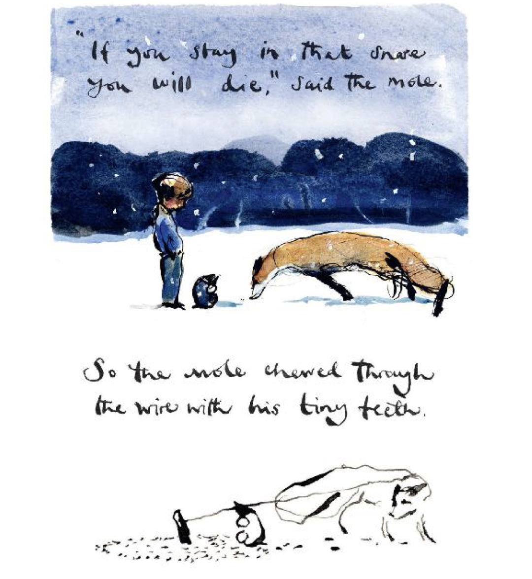 《The Boy, the Mole, the Fox and the Horse》:去爱,也被爱。